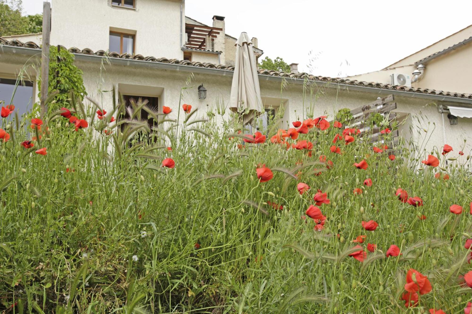 Les Ânes de Forcalquier Hotel Quarto foto